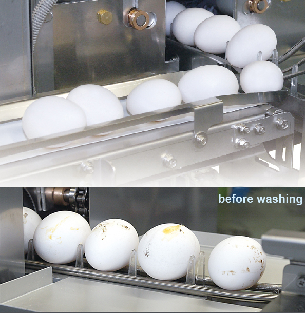 Mini Egg Washer Kyowa machinery