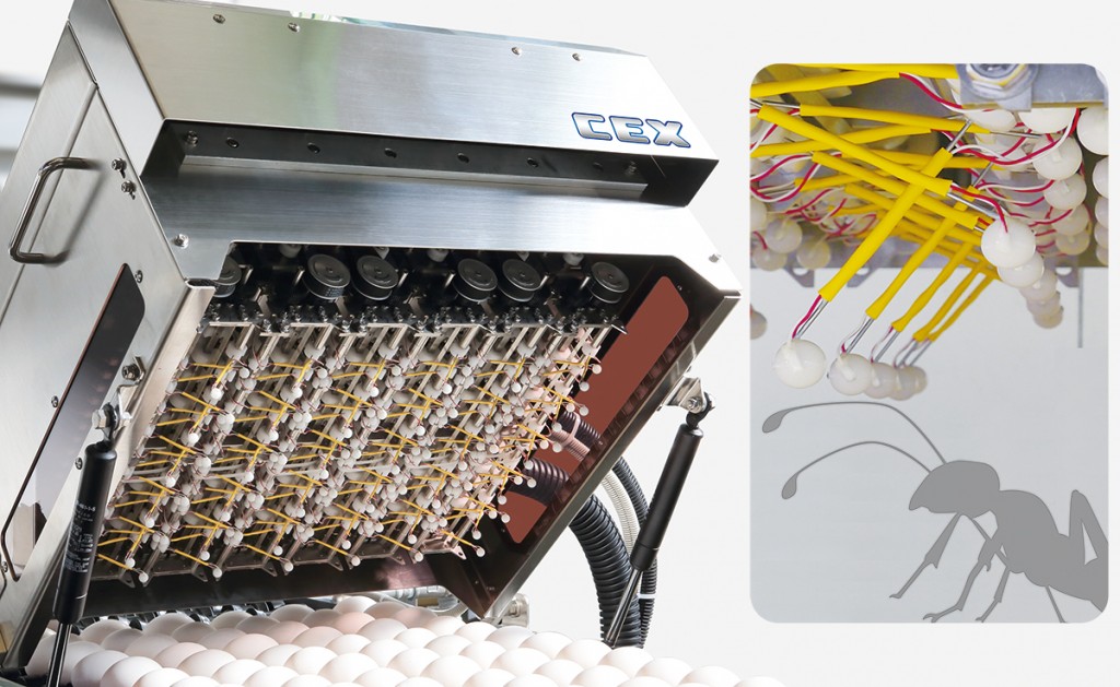 Crack Egg Detector CEX Kyowa machinery