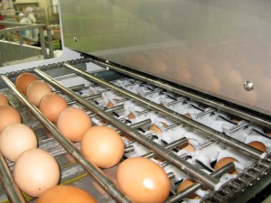 IMG_0035