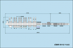 cs6